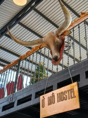 Ở Mô hostel Đà Lạt